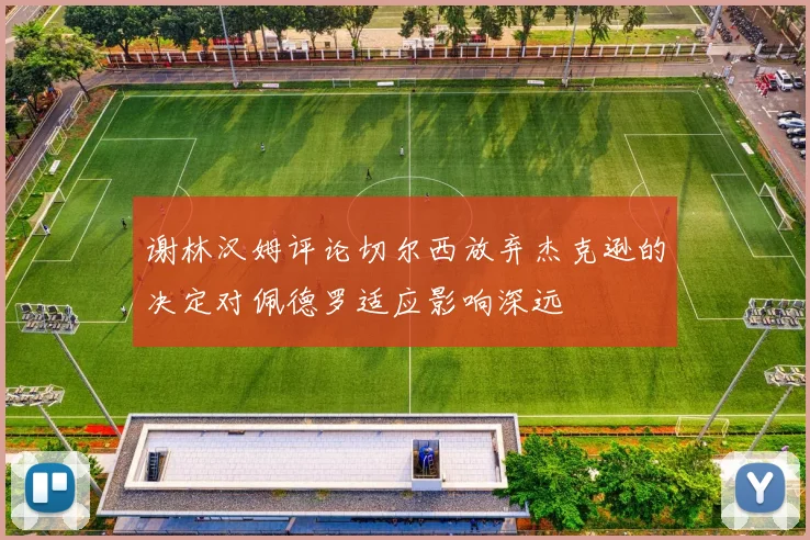 谢林汉姆评论切尔西放弃杰克逊的决定对佩德罗适应影响深远