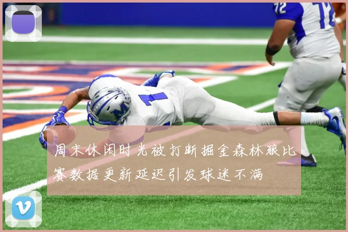 周末休闲时光被打断掘金森林狼比赛数据更新延迟引发球迷不满