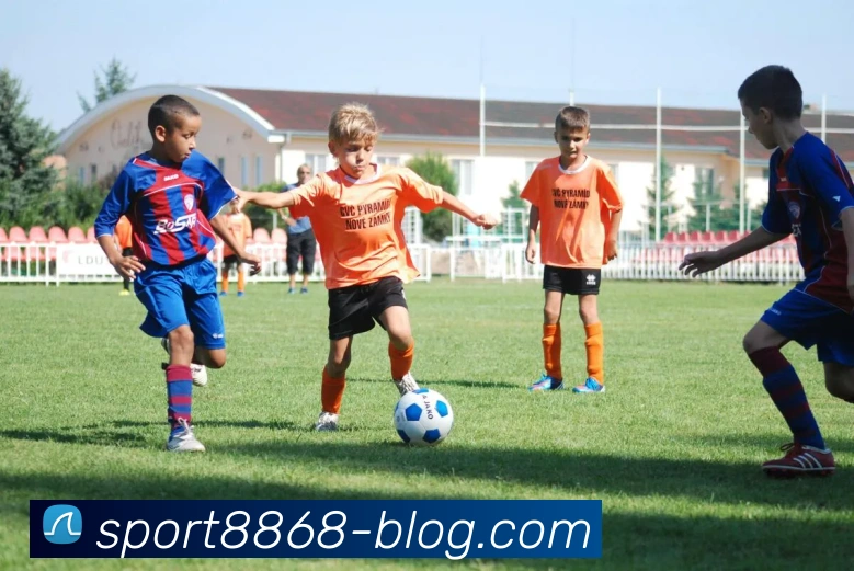 8868体育平台生态图